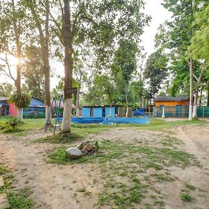Hotel O Heritage Nest Resort Kazirnga